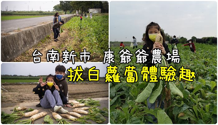 [遊記] 台南新市 康爺爺農場 拔蘿蔔一根只要10元。